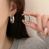 Stainless Steel Smooth Metal Hoop Earrings For Woman Girl Elegent Luxury  Korean Jewelry Temperament Girl's Daily Wear earrings