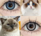 1 Pair Color Contact Lenses for Eyes Big Eye Lenses Blue Contacts Gray Lenses Brown Lenses Yearly Cosmetic Eye Lenses