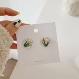 New Arrival Creative Plant Dry Flower Stud Earrings For Girl Transparant Round Acrylic Fresh Spring Summer Ear Jewelry