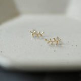 Sterling Silver European Style 14k Gold Earrings For Women Simple Olive Branch Leaf Earrings Sweet Cute Student Jewelry