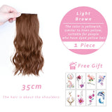 Wig Piece Female Curly Hair Fluffy Pad Hair Piece One-Piece Top Replacement Pad Hair Root Device Patch Hair Extension Piece