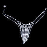 Newest Sexy Hollow Rhinestone Body Chain Bra Accessories Necklace for Women Crystal Thong Underwear Body Jewelry Gift